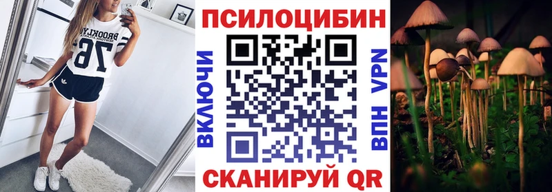 где купить наркотик даркнет официальный сайт Галлюциногенные грибы прущие грибы Приозерск